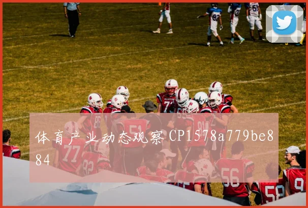 体育产业动态观察 CP1578a779be884