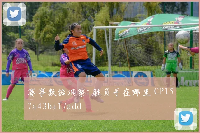 赛事数据洞察:胜负手在哪里 CP157a43ba17add
